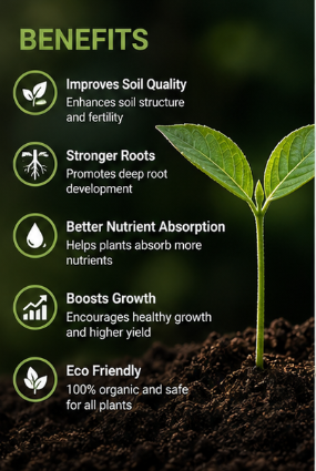 Soil Activator for Plants (Pack of 2) ā Organic Plant Growth Booster