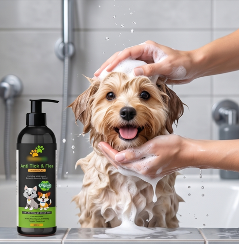 Anti-Tick & Flea Combo for Dogs & Cats – Pet Care Solution (1 Piece)