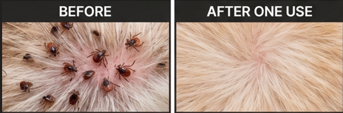 Anti-Tick & Flea Combo for Dogs & Cats – Pet Care Solution (1 Piece)