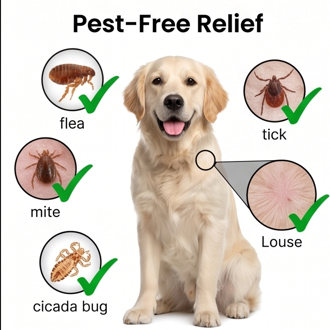 Anti-Tick & Flea Combo for Dogs & Cats – Pet Care Solution (1 Piece)