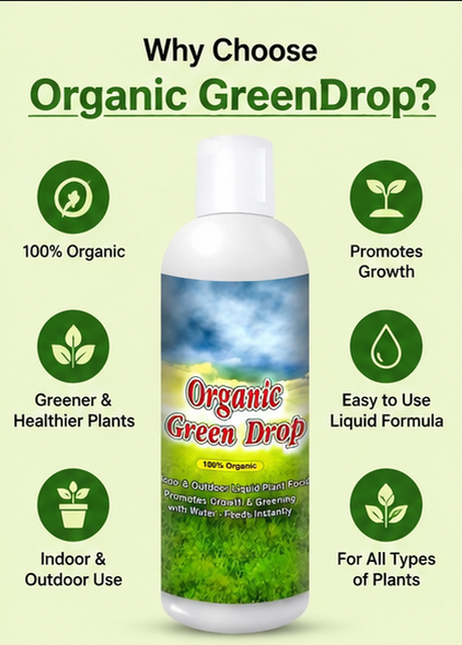 Organic GreenDrop Plant Food Liquid Fertilizer – Plant Growth & Greening | Pack of 1