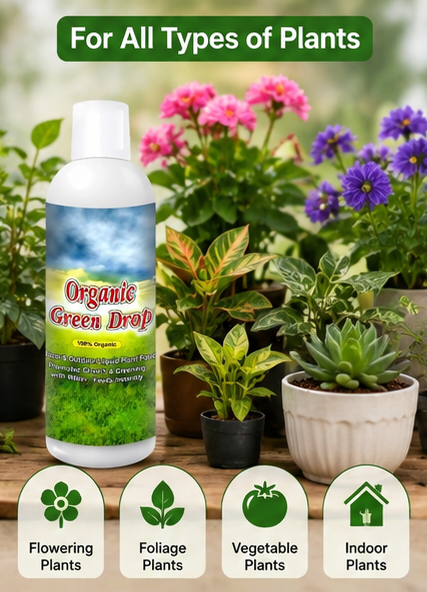 Organic GreenDrop Plant Food Liquid Fertilizer – Plant Growth & Greening | Pack of 1